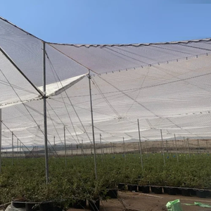 Invernadero con Sistema de Protección Contra la Lluvia, Invernadero Resistente y de Alta Resistencia con Malla de Sombra Resistente a los Rayos UV y Sistema Avanzado Contra la Lluvia - Product Image 2