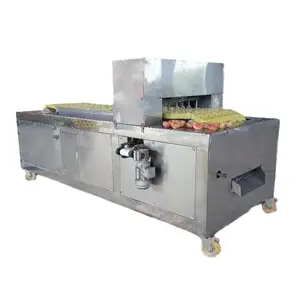 Machine automatique d'enlèvement de pépins de pomme équipement de dénoyautage de cerise pour fruits à noyau (1000 kg p