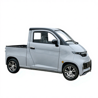 2025 les nouvelles voitures de fret électriques à 4 roues L6e Quadricycle Véhicule fermé en vente Cabine Scooter Voitures électriques avec approbation CEE