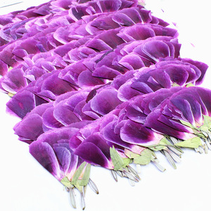 Fleurs de Godetia naturelles séchées pressées, petites et plates, de couleurs mélangées, pour maquillage de visage, nail art et artisanat en résine pour festivals - Product Image 4