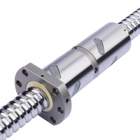 Écrou de vis à billes en acier de haute précision nouvelle FFA2525-1.8 Type de mouvement linéaire CNC Production automatisée actionneur linéaire vis mère