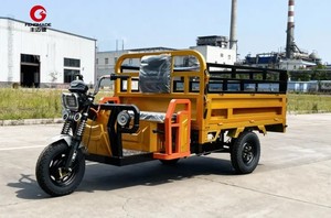 Tricycles électriques de fret Fengmade : Prix usine, personnalisables, pas chers, <span class=keywords><strong>3</strong></span> roues, 1500W, 1800W, capacité de chargement 1 tonne - Product Image 5