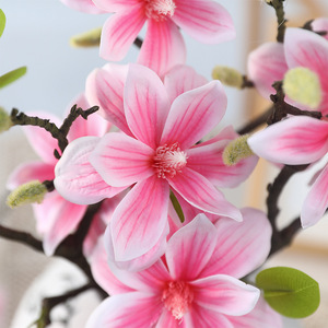 Flor Artificial de Alta Calidad con Tacto Real, Flor de <span class=keywords><strong>Magnolia</strong></span> <span class=keywords><strong>Yulan</strong></span> para Decoración del Hogar, Centro de Mesa, Decoración de Bodas - Product Image 4