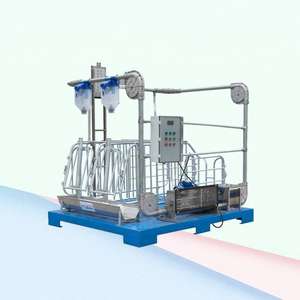 Nueva Jaula de Gestación para Cerdos HengYin, Popular, de Larga Duración, Acero Galvanizado en Caliente, Certificación CE ISO 9001, 1 Año de Garantía - Product Image 3