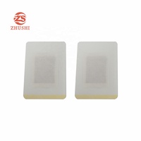 2025 Hotsales OEM chinois à base de plantes jetables en bambou Detox Foot Patch Detox Foot Pads