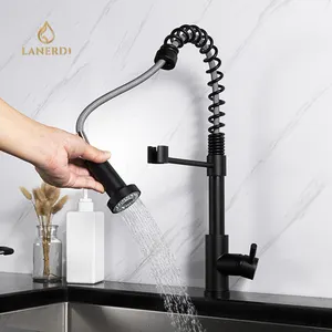 Mangueira Flexível Lanerd Pull Down Kitchen Sink Water Single Lever Faucet Mixer 304 Aço Inoxidável Matte Black Laser LOGOTIPO Moderno