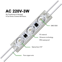 Módulos LED AC110V 220V SMD 2835 72*16MM 3 Leds IP65 Módulo de Inyección LED de Color Blanco/Verde/Azul/Morado/Rojo/Rosa