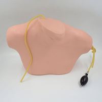 Modèle de formation à la ponction veineuse centrale guidée par ultrasons KyrenMed pour la ponction veineuse jugulaire interne et la ponction veineuse sous-clavière