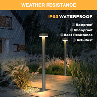 Lampes de jardin LED modernes étanches IP65 à haute luminosité pour allées, cours et rues – Approvisionnement direct usine