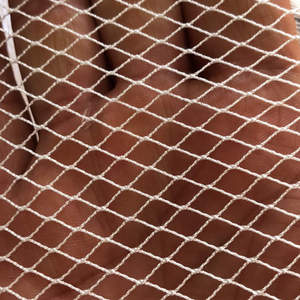 ตาข่ายจับปลา<span class=keywords><strong>นิล</strong></span>เนื้อโพลีเอทิลีนความหนาแน่นสูง (HDPE) - Product Image 6