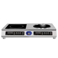 Cuisinière à induction commerciale 7000W Caractéristiques de la friteuse Hotpot étanche pour la cuisine extérieure