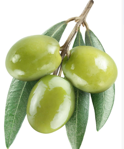 โอเลอโรพีน 40% CAS 32619-42-4 สารสกัดสมุนไพร สารสกัดจากใบมะกอกชนิดผง - Product Image 6