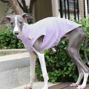 Vêtement pour animaux de compagnie anti-salissure simple pour sorties, veste de protection solaire d'été OEM en gros pour lévrier italien et <span class=keywords><strong>whippet</strong></span> - Product Image 3