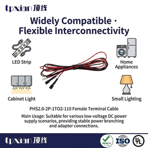 PHS2.0 2P Macho para Duplo 110 Fêmea, Cabo Divisor de Terminais 1 para 2 Vermelho e Preto para Fita LED, Iluminação de Armário, OEM Personalizado - Product Image 3