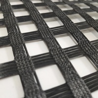 Geomalla de Poliéster con Resistencia a la Tracción de 100/100kn para Aplicaciones de Refuerzo de Carreteras de Asfalto, Calidad Premium, Garantía de 5 Años