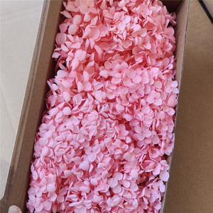Flores de Hortensia Anna Preservadas de Grado AB con Tacto Natural en Caja para Decoraciones Hechas a Mano para Navidad y Bodas - Product Image 5