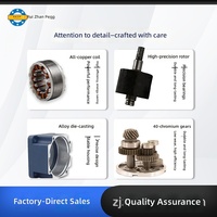 Ruizhanpeng Motor DC Magnet Permanen Poros Padat Sudut Kanan Tanpa Hall Tanpa Sikat Miniatur 220V Kecepatan Dapat Diatur Gigi Variabel