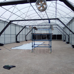 Grande serre agricole de privation de lumière automatique de 8x16m pour la culture de champignons de chanvre - Product Image 3
