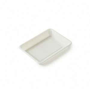 Platos Desechables Biodegradables de Maíz para Pastel y Postre, Ideales para Fiestas, al Mejor Precio - Product Image 1