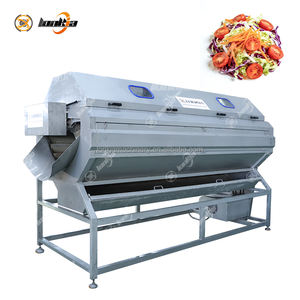 モジュール設計と簡単な操作を備えた自動ニンジン・チェリートマト・葉物野菜サラダ加工ライン - Product Image 2