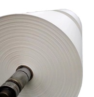 Papel Offset Especializado de Alta Calidad con Revestimiento Blanco, de una Sola Cara, Ecológico, Resistente a la Grasa, 100% Pulpa Virgen, 80g/m², Hecho en China