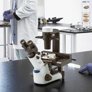 현미경 FLPH 형광 관찰 OL CKX53 - Product Image 5