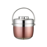 Nouvelle boîte à lunch en acier inoxydable 304 Double couche isolée Tiffin Pot Lunch Container Anti-Spill Vacuum