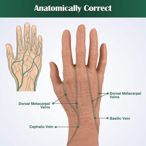 การออกแบบทางการแพทย์แบบจำลองหัวฉีดของผู้สูงอายุแบบครึ่งตัดครึ่งท่อนสำหรับการฉีดยาด้วยการสอนการใส่ขดลวด - Product Image 2