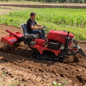 Pequeños tractores de orugas con motor diésel 2WD para invernaderos, campos de arroz de <span class=keywords><strong>tierra</strong></span> seca, microcultivadores de alta productividad de dos ruedas - Product Image 3