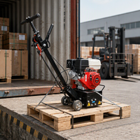 Machine de démarquage routier autopropulsée à essence, vitesse de dégagement de 120 m/h, largeur de travail de 225 mm, certifiée ISO