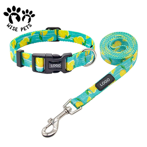 Designer di forniture per animali domestici imbracatura per cani guinzaglio e <span class=keywords><strong>collare</strong></span> piccola collana per cuccioli di cane di <span class=keywords><strong>taglia</strong></span> <span class=keywords><strong>grande</strong></span> - Product Image 1