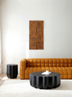 Table basse minimaliste italienne en fibre de verre, design pétale, noire, pour salon, petit appartement, mobilier moderne pour la maison