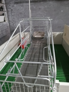 Caisses de mise bas triangulaires de 2,4 m de long utilisant un plancher à lattes - Product Image 3