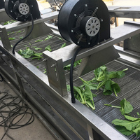 Groenten En Fruit Drogen Machine Ontwateren Fruit Groente Droogmachine Groente Droog Luchtstroom