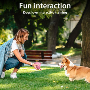 KINYU Özel Logolu Çevre Dostu Modern Lüks Köpek Futbol Topu Oyuncakları Yüksek Kaliteli İnteraktif Kauçuk Dayanıklı Evcil Hayvan Oyuncakları - Product Image 2