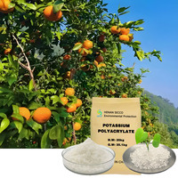 Polyacrylate de potassium SAP Hydrogel Agent de rétention d'eau pour la conservation de l'humidité du sol agricole