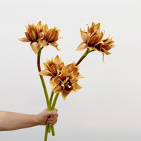Kunstmatige amaryllisbloemen, EVA Clivia met een realistisch gevoel, boeketten voor bloemendesign, model voor kamervoorbereiding, fotografie-accessoires