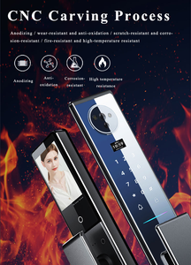 בית דיגיטלי tuya מנעול 3D פנים זיהוי טביעת אצבע חומר אלומיניום כרטיס זיכרון נתונים אחסון תואם פלדה - Product Image 2