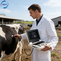 Appareil d'échographie vétérinaire électrique avec système Windows 7/sonde convexe/vaginale, échographie portable pour animaux gestants