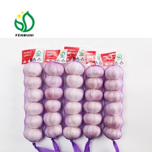 Frais chine <span class=keywords><strong>ail</strong></span> <span class=keywords><strong>d</strong></span>'<span class=keywords><strong>éléphant</strong></span> en 2019 nouvelle récolte - Product Image 2