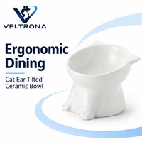 Bol pour animaux de compagnie en céramique blanche avec base en forme de patte d'animal, bol surélevé pour nourriture et eau pour chats et petits chiens