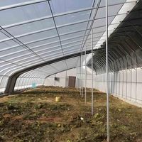 Serre agricole Bafangle à simple travée avec structure en acier et bâche, installation facile, conception tunnel vert pour jardins