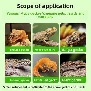 Polvo de Calcio para Lagartos Effortless Plus, Suplemento Nutricional en Polvo para Reptiles, para Geckos, Dragones Barbudos, Lagartos de Lengua Azul, Ch - Product Image 3