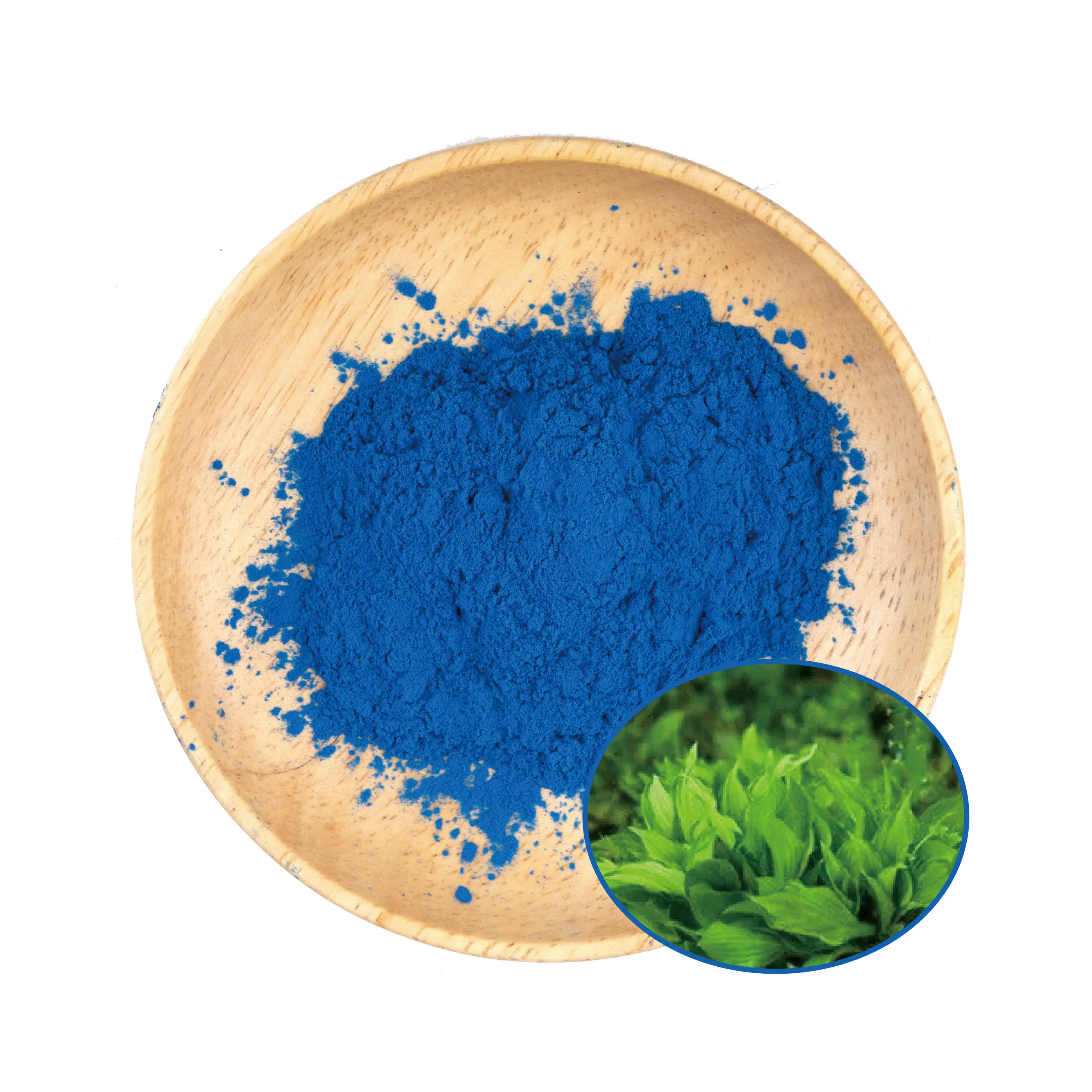 Wholesale Bulk Phycocyanin Food Coloring Blue Spirulina Powder