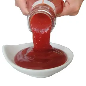 Ketchup — pâte de tomate en boîte, vente d'usine, pâte de tomate pour aliments, Sauce, g