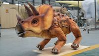 Zigong RC Roboterhund Triceratops Laufender Dinosaurier-Roboter Realistisches Simulationsmodell Leicht Anpassbare Größen Indoor Bildungspark Einkaufszentrum