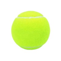 Balles de tennis authentiques du fabricant, modèle professionnel pour l'entraînement et la compétition amateur, durables et à haute élasticité