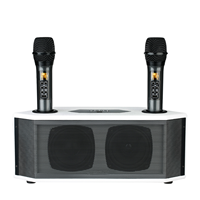 Altavoz de Karaoke Activo Portátil con Función DSP, Micrófono Inalámbrico UHF, Conexión BT para Teléfono, Construcción Metálica