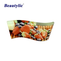 Moule de pliage acrylique de sublimation d'acier inoxydable LS-AM01 moule de cintrage de beauté de sublimation en forme d'arc pour l'acrylique blanc de 5mm