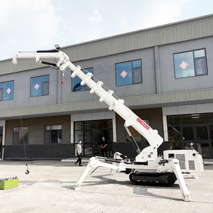 Mini <span class=keywords><strong>Gru</strong></span> Ragno Cingolata con Stabilizzatore Telescopico Idraulico Nuova Mini <span class=keywords><strong>Gru</strong></span> di Sollevamento - Product Image 3